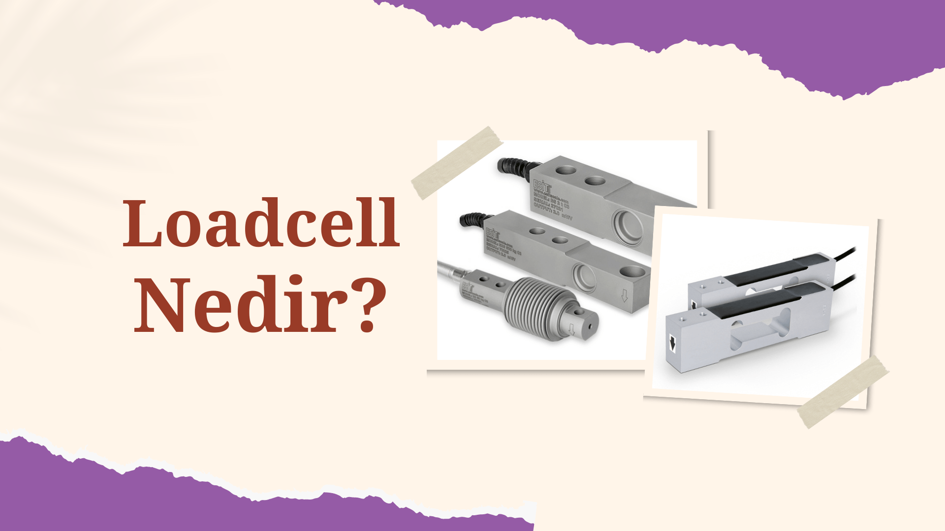 Loadcell Nedir, Loadcell, Loadcell Fiyatları, Loadcell Çeşitleri, Loadcell Ne İşe Yarar, Loadcell Bağlantısı